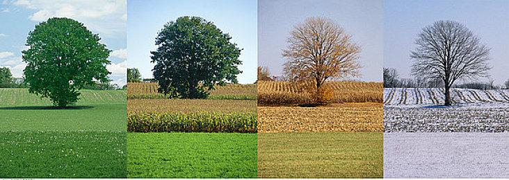 和风恐怖新游《UTUROMAYU》演示 2023年登陆steam