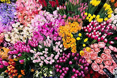 《幻兽帕鲁》将参加夏日游戏节 公布令人兴奋的事情